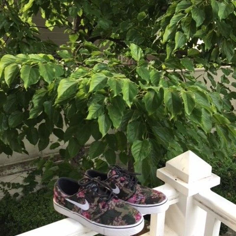 Janoski store feminino floral