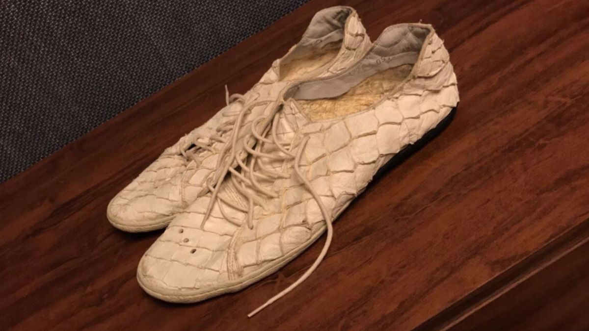 tenis pirarucu osklen