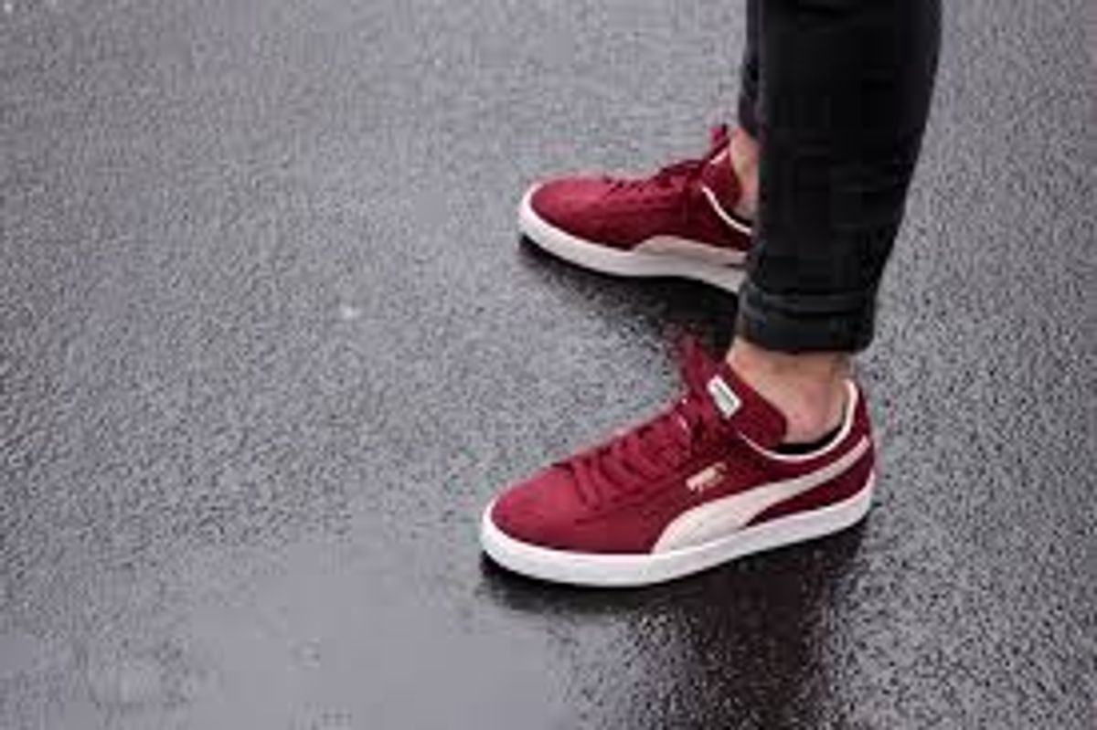 puma suede classic bordo
