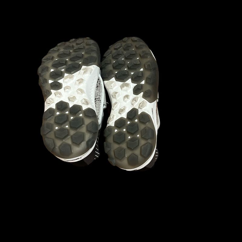 Tênis Vans Coast Cc Snake Frost Gray Black | Vans Nunca