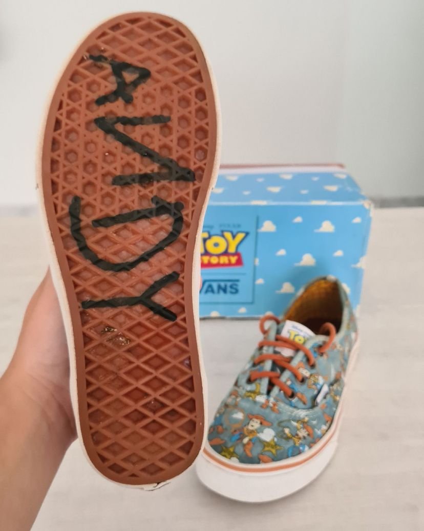 toy story vans box