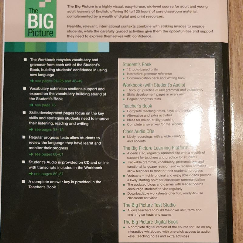 The Big Picture Pre-Intermediate Workbook | Livro Richmond Usado.