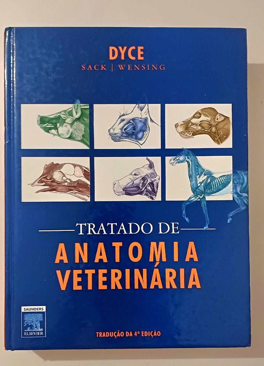TRATADO DE ANATOMIA DYCE PDF visual data 4