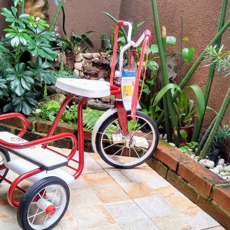 Triciclo Infantil Antigo Bandeirante 2 Irmãos Vermelho Original Usado