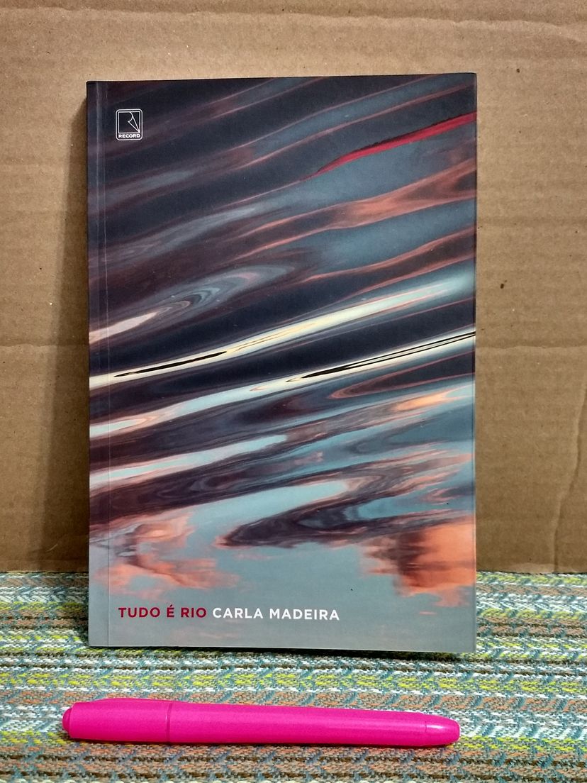 Tudo É Rio | Livro Usado 78009968 | enjoei