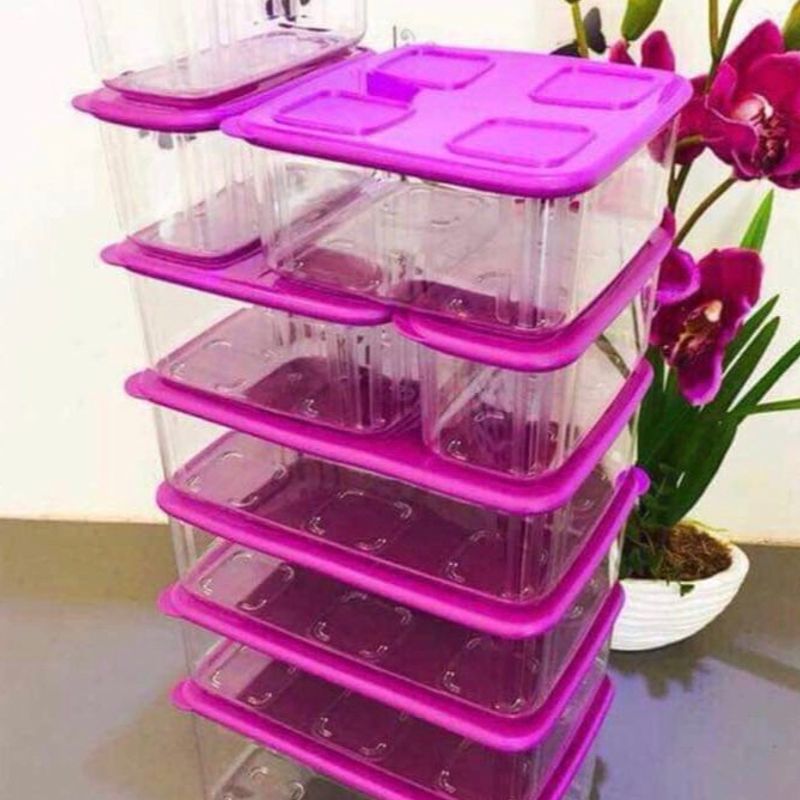 Tupperware Clara Smart Policarbonato Freezer e Geladeira Tupperware Clara Smart Policarbonato Freezer e Geladeira
