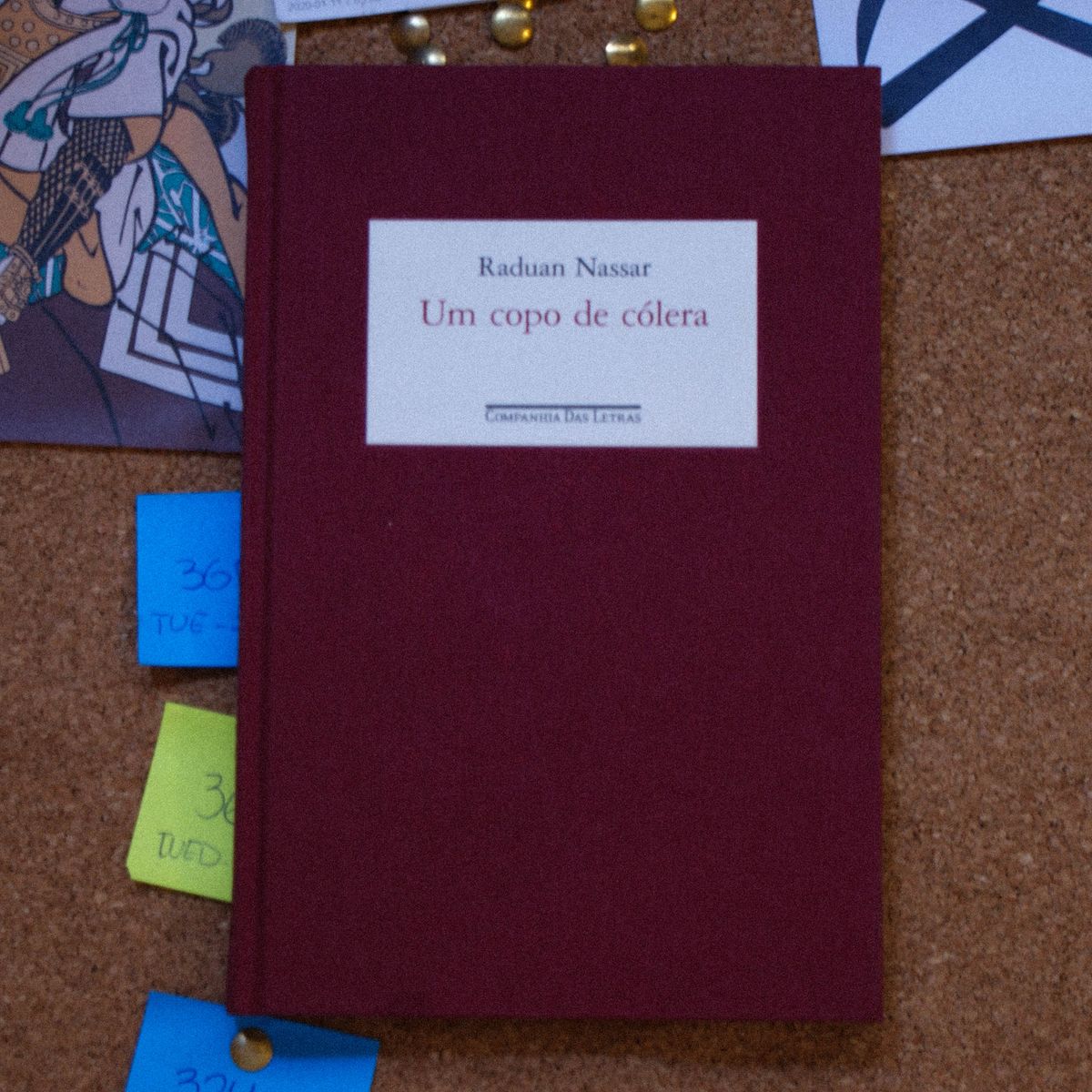 Um Copo de Cólera Raduan Nassar Livro Usado 41370441 enjoei