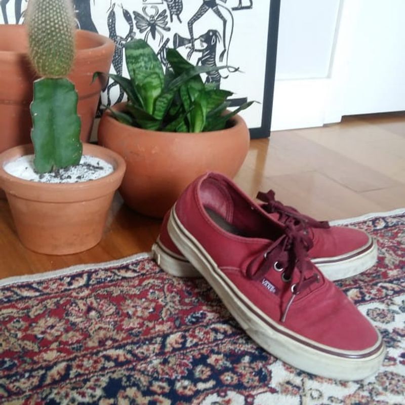 Tenis vans hotsell authentic bordo