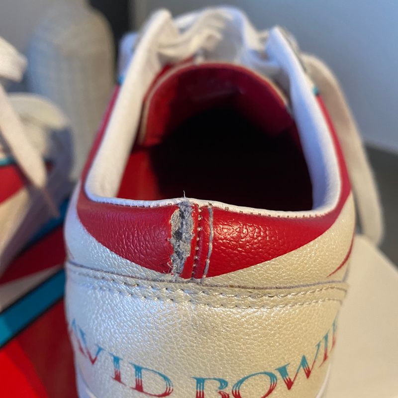 bowie aladdin sane vans