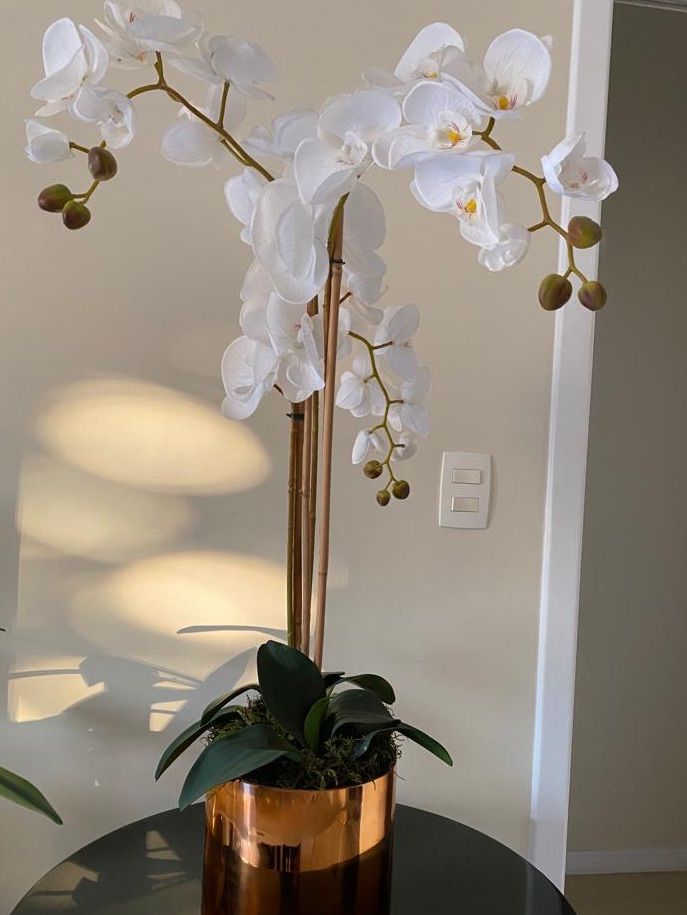 Vaso Decorativo com Orquídea | Item de Decoração Vaso Usado 74713030 |  enjoei