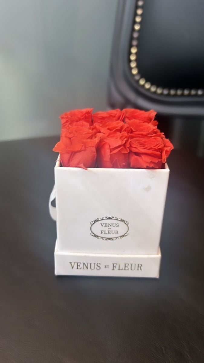 Venus et fleur store bear