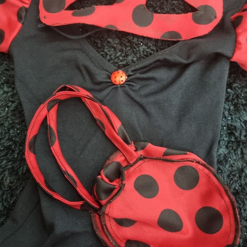 Fantasia Ladybug Infantil - Loja Mundo da Dança - Roupa de Ballet, Fantasias,  Bodys baby.