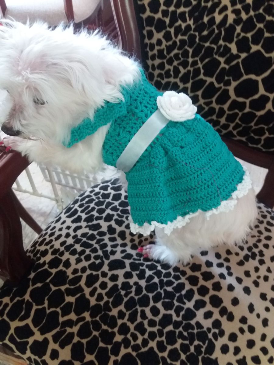 vestido pet de croche