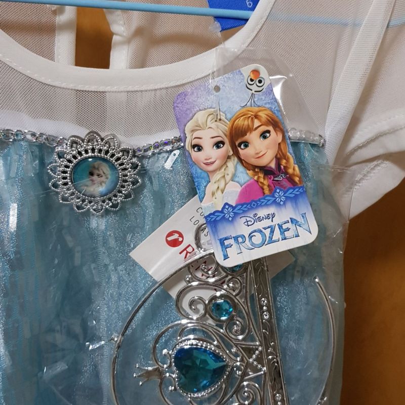 Roupa da best sale elsa da frozen