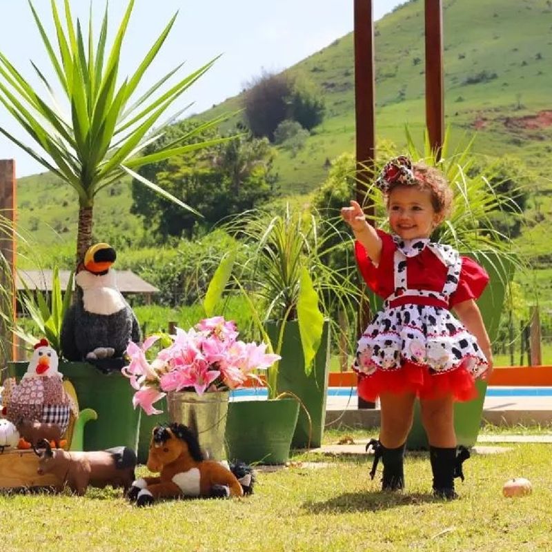 Roupa para festa fazendinha 2024 feminina