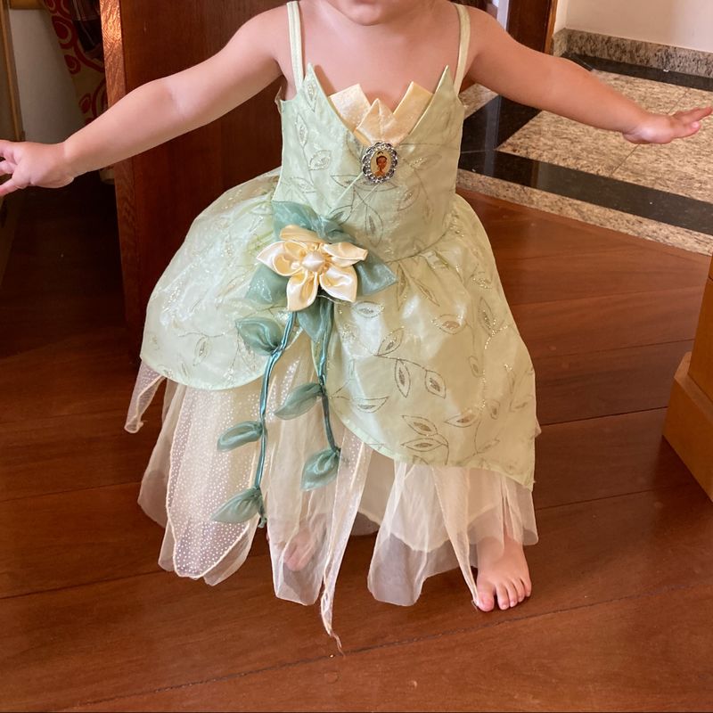 Roupa da tiana princesa best sale eo sapo