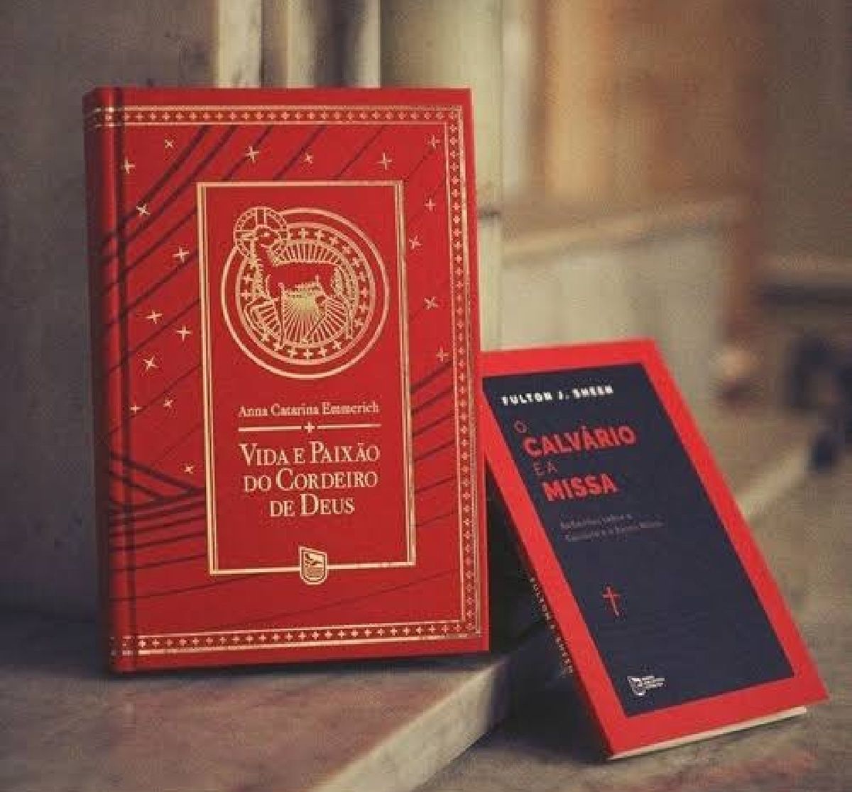 Vida e Paixão do Cordeiro de Deus | Livro Minha Biblioteca Católica ...