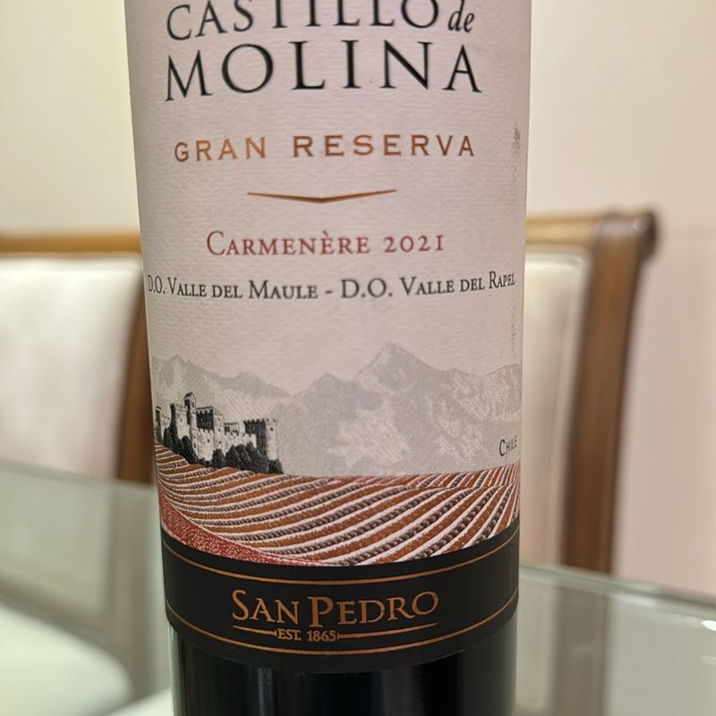 Vinho Castillo de Molina Gran Reserva 2021 | Móvel de Cozinha