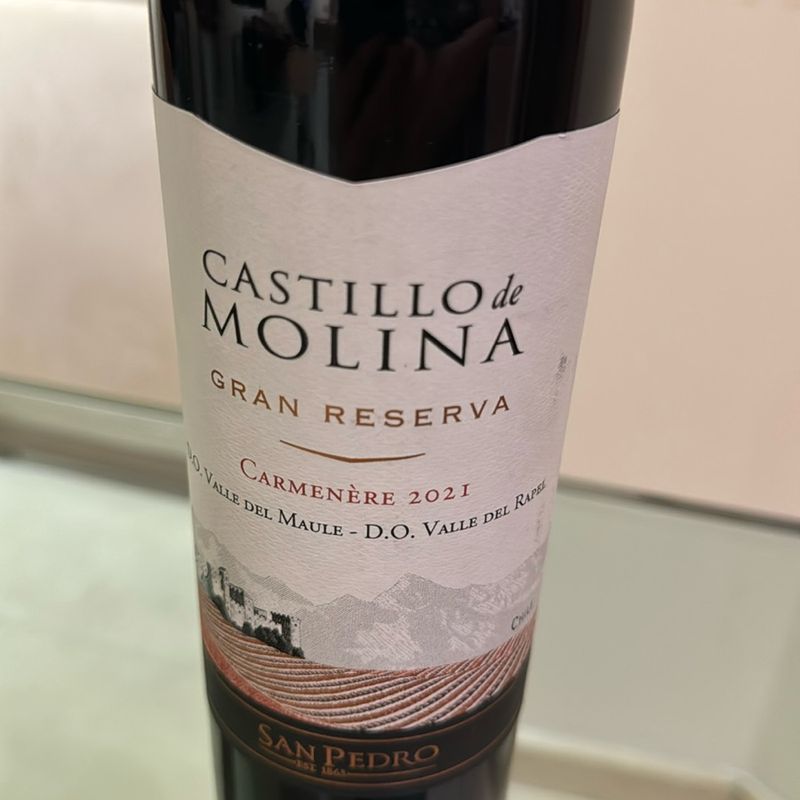 Vinho Castillo de Molina Gran Reserva 2021 | Móvel de Cozinha