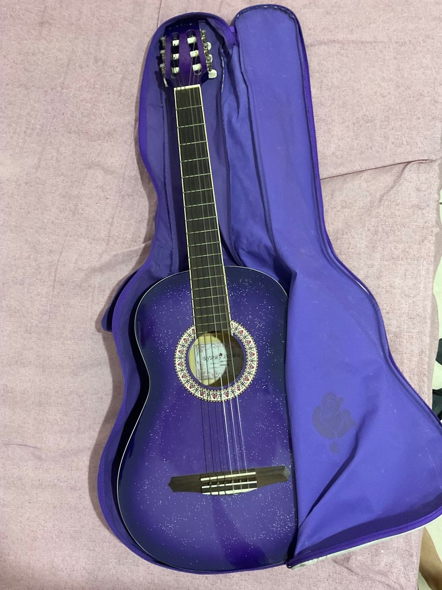 Violão Gypsy Rose Roxo | Item de Música Gypsy Rose Usado