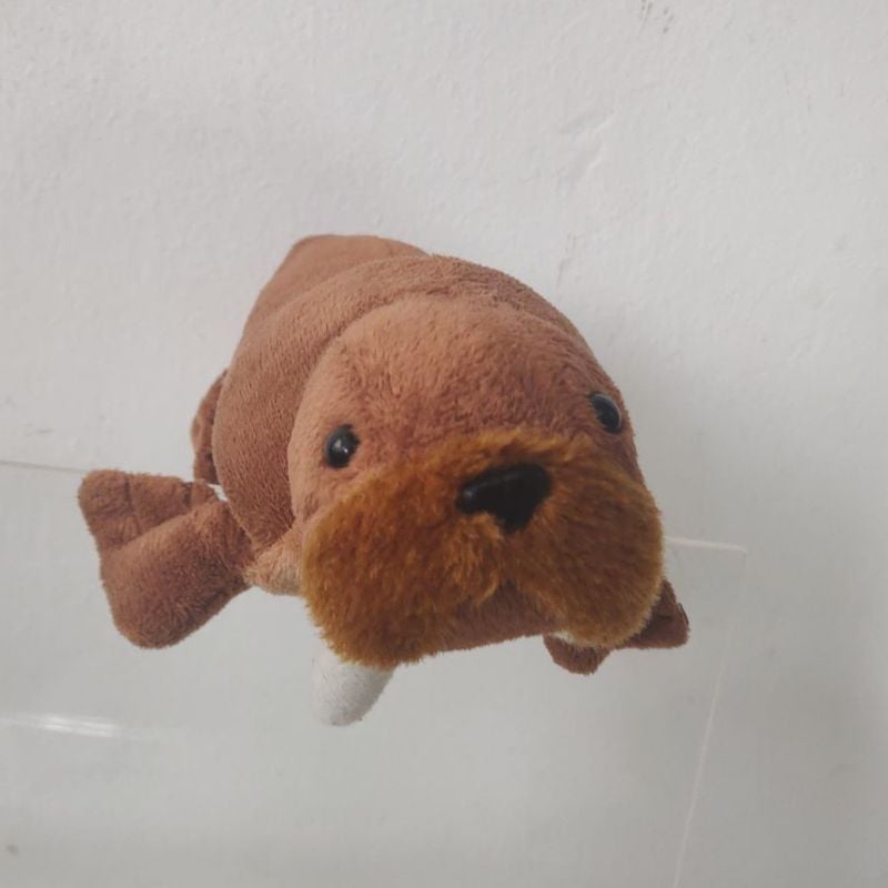 Walrus stuffed hot sale animal