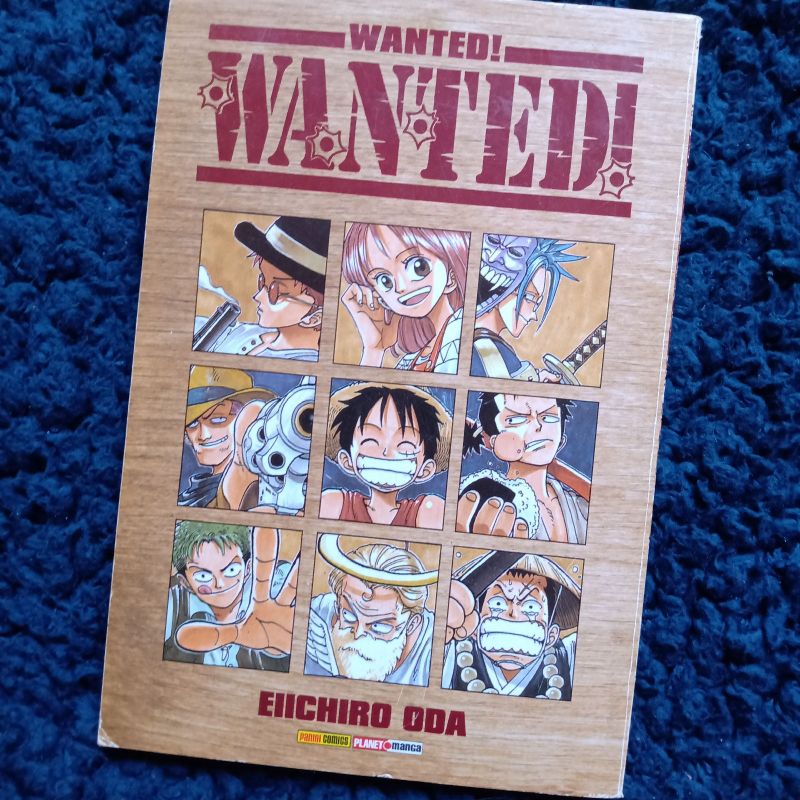 Wanted! One Piece | Livro Panini Usado 43677408 | enjoei