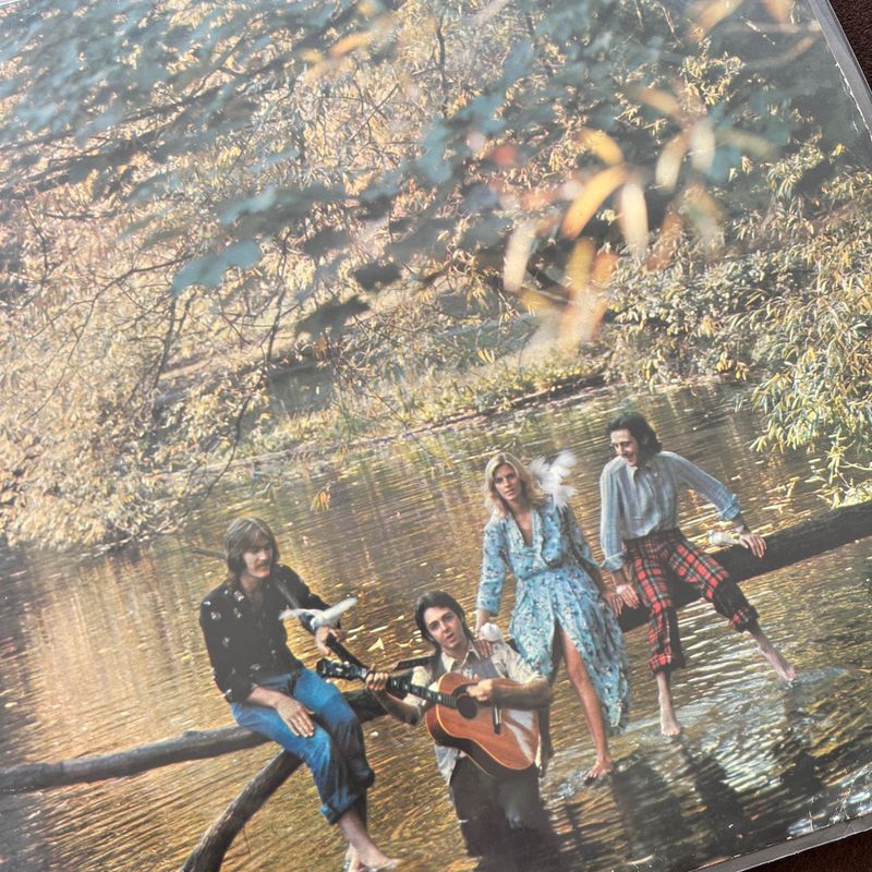 Wild Life: Amazon.com.br: CD e Vinil