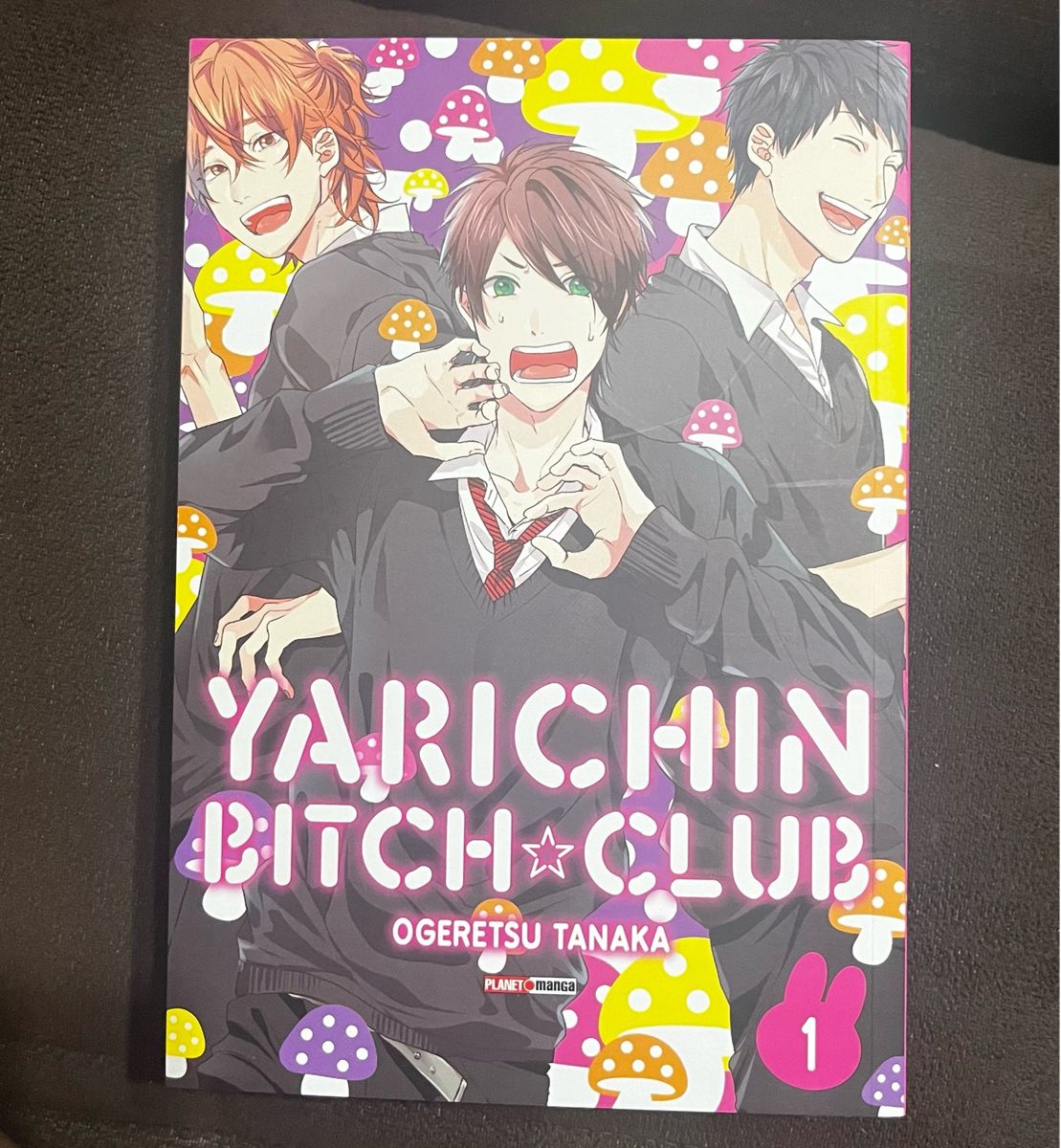Yarichin Bitch Club Volume 1 - Mangá Yaoi em Português | Livro Planet ...