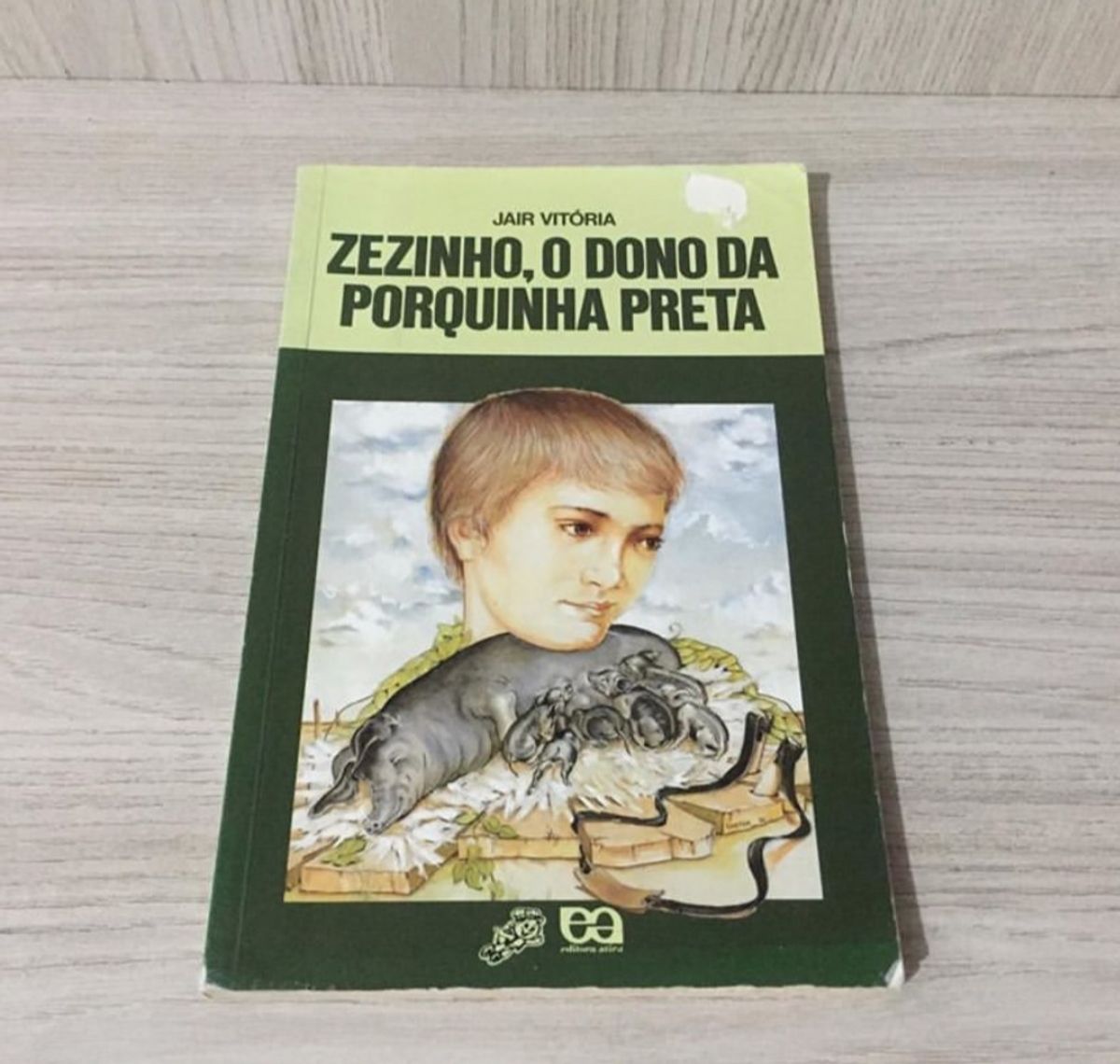 Zezinho, O Dono da Porquinha Preta | Livro Editora ática Usado 44339632 ...